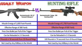 Assault-style-semi-auto-e1727008206867.jpg