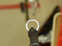 SKS-T Front Sight from Rear 2.JPG