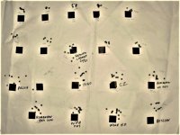 SKS-AmmoTest 100yd w-24x scope.jpg