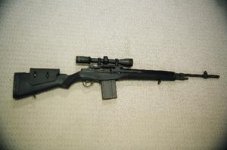 m14small.JPG
