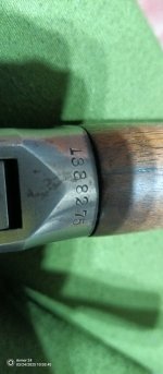 1000019934.jpg