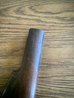 IMG_2646.jpeg