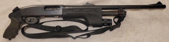 870bushcarry.jpg