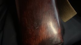 IMG_2495.jpeg