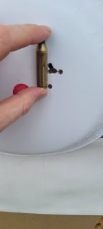 20250408_120806.jpg
