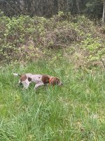 IMG_2467.jpeg