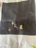 IMG_2424.jpeg