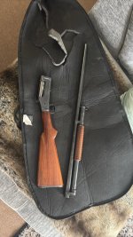 IMG_5216.jpeg
