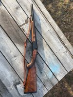 IMG_2545 (1).jpg IMG_2545 (1).jpg