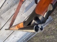 IMG_2554.jpg IMG_2554.jpg