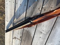 IMG_2553.jpg IMG_2553.jpg