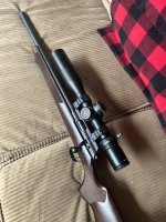 IMG_4927.jpeg