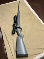 IMG_4387.jpeg