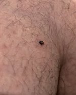 IMG_1910.jpeg