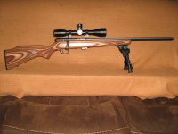 Savage MK 2 BV .22 cal (1).JPG