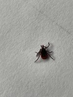 IMG_5964.jpeg