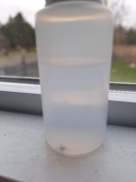 20250417_081309.jpg