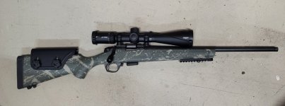 Bergara BMR in 17 HMR.jpg