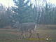 PICT0012.jpg