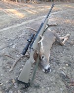 ranch whitetail.jpg