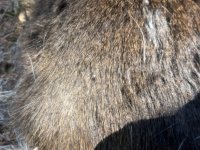 IMG_9958.jpeg