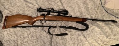 IMG_0734.jpeg