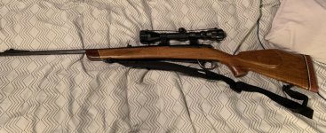 IMG_0733.jpeg