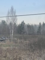IMG_9968.jpeg
