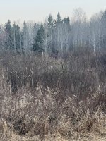 IMG_9969.jpeg