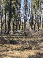 IMG_4081.jpeg