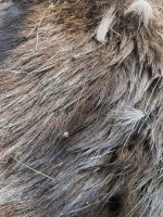 IMG_9979.jpeg