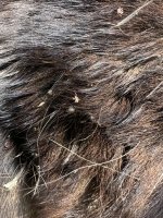IMG_9978.jpeg