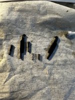 IMG_8357.jpeg