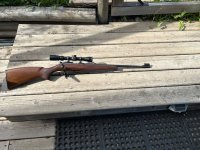4 - CZ455 22wrm.jpg