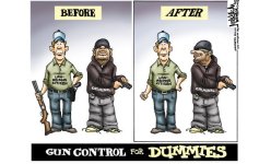 gun-control-for-dummies.jpg