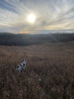 IMG_2766.jpeg