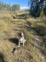 IMG_2352.jpeg
