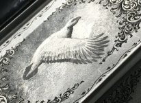 IMG_2047.jpeg