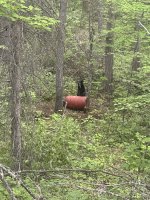 IMG_0285.jpeg