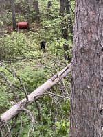IMG_0289.jpeg