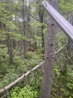 IMG_0287.jpeg