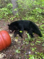 IMG_0320.jpeg