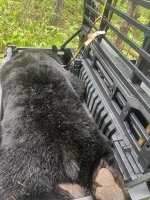 IMG_0321.jpeg
