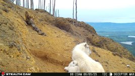 IMG_3429.jpeg