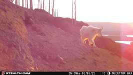 IMG_3401.gif