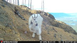 IMG_3391.jpeg
