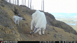 IMG_3394.gif