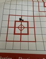 IMG_7964.jpeg
