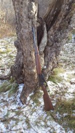 IMG_0555.jpeg
