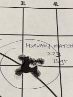 T3X-Varm-223 FEB 16 Targets.JPG
